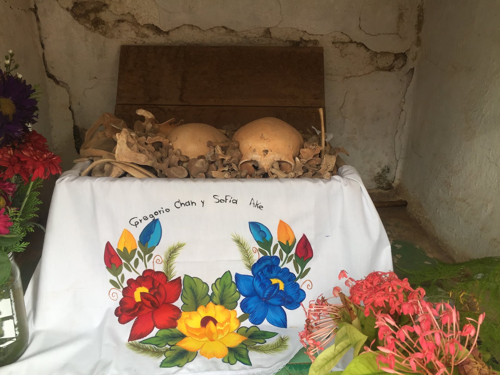 ColonialMexicoInsideandOut A Dia De Los Muertos You Won't