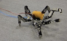 Robot 6 chân có thể tìm và nhấc vật thể