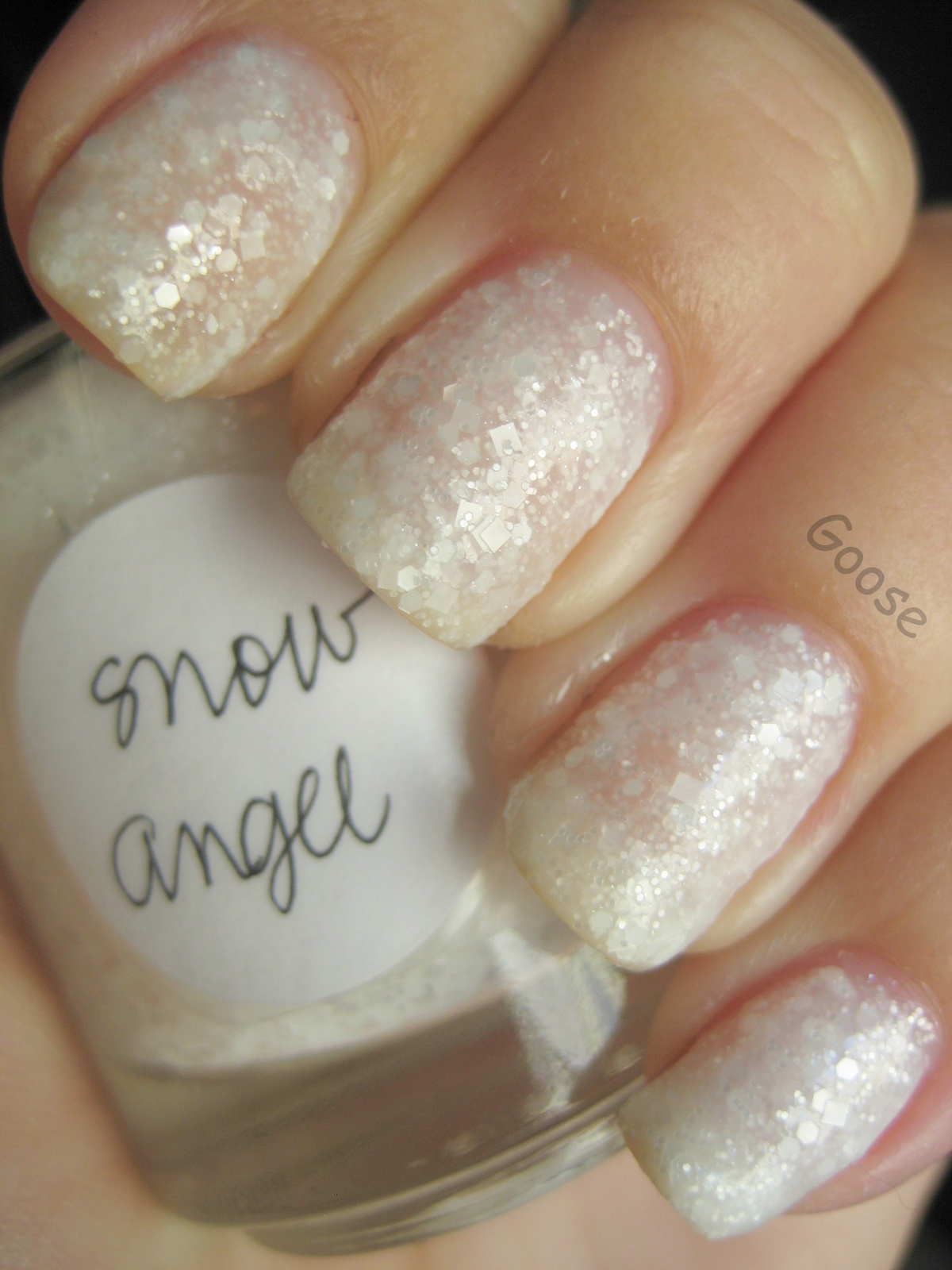goose s glitter lyderella