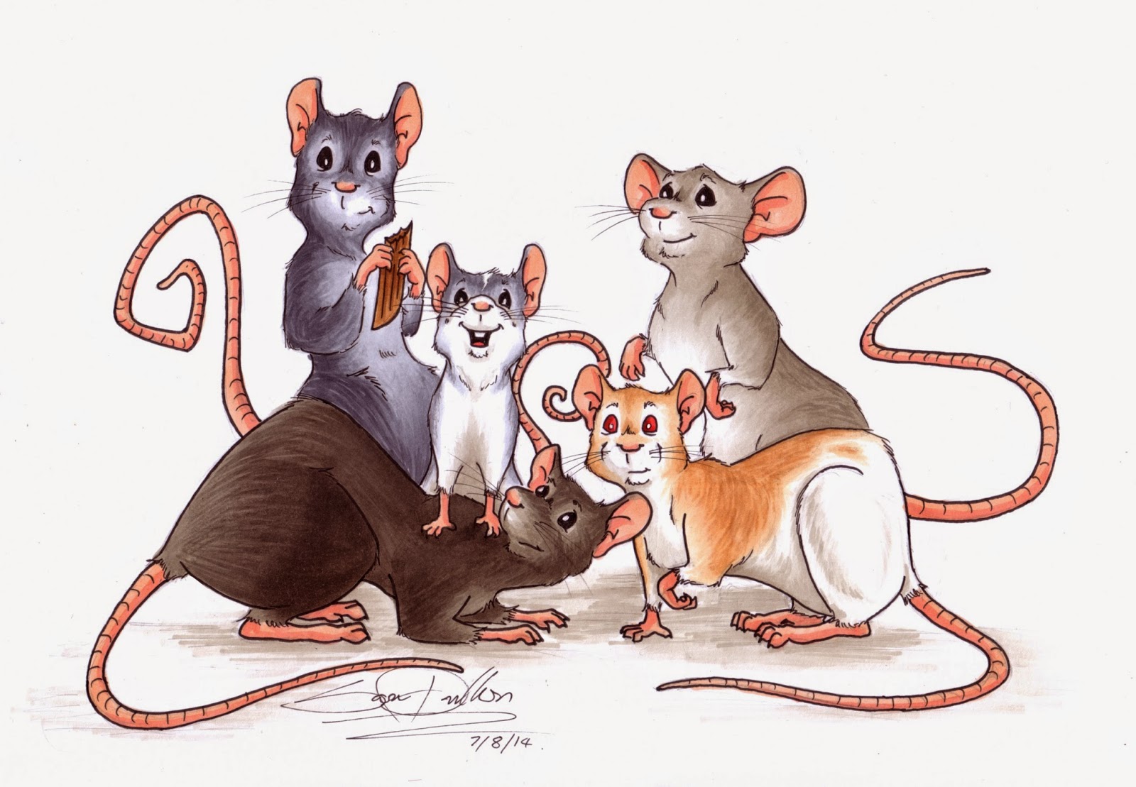 Sara Dunkerton Illustration and Animation: Pet Portraits - Rat Pack
