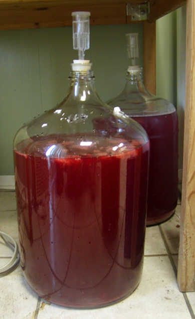 chitosan in wine making