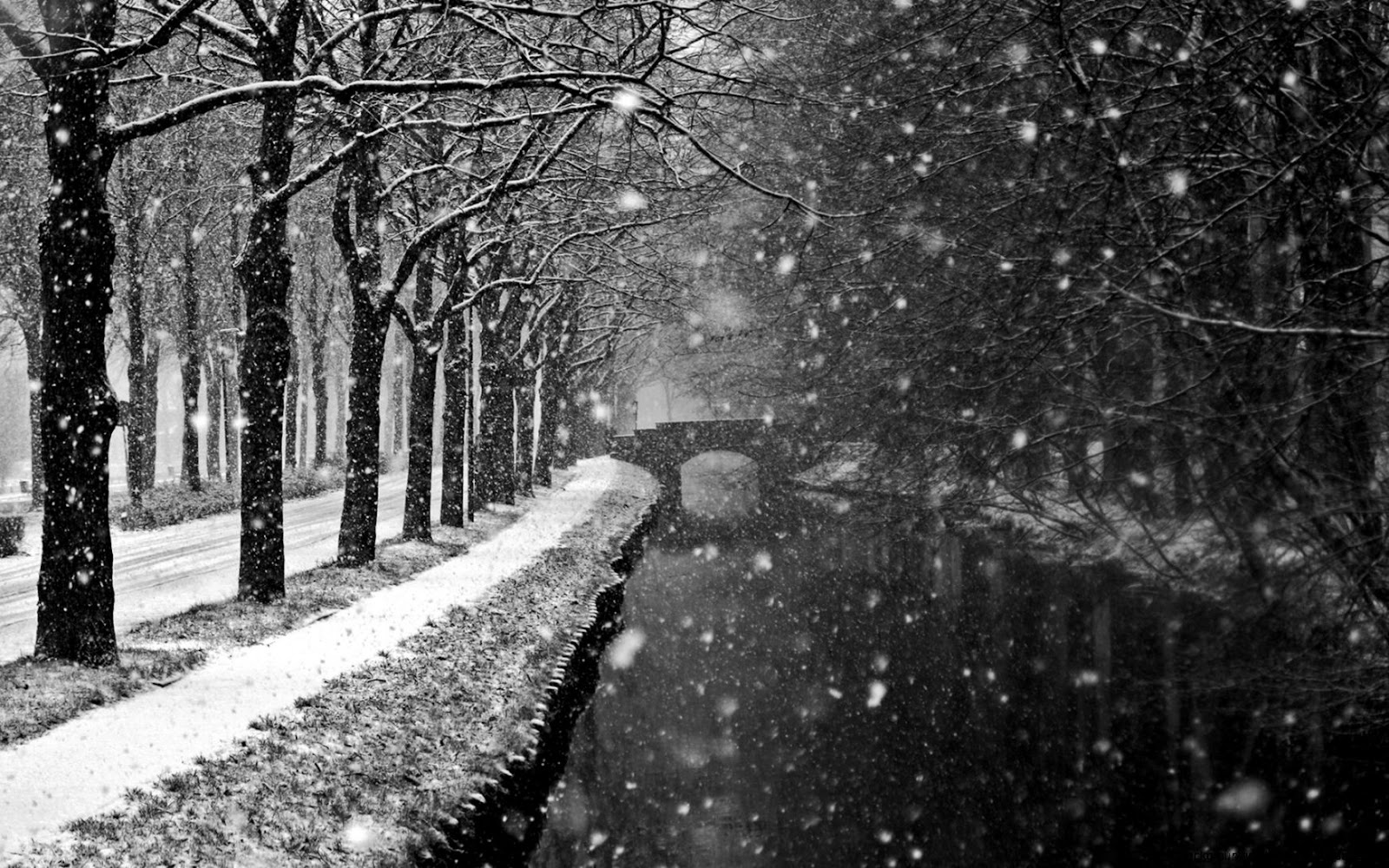 Winter Blizzard Storm Winter Blizzard Storm