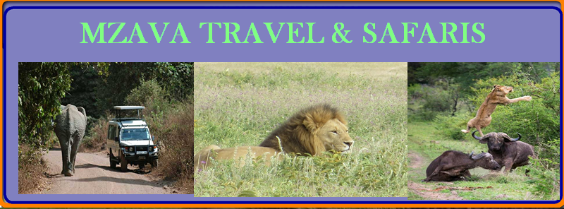 Mzava Travel and Safaris