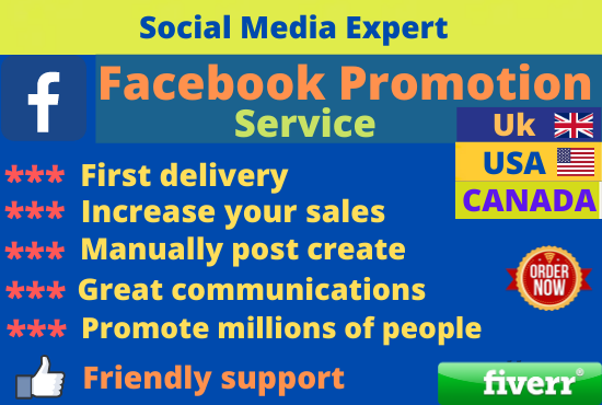 I will do facebook promotion or marketing for sales and traffic