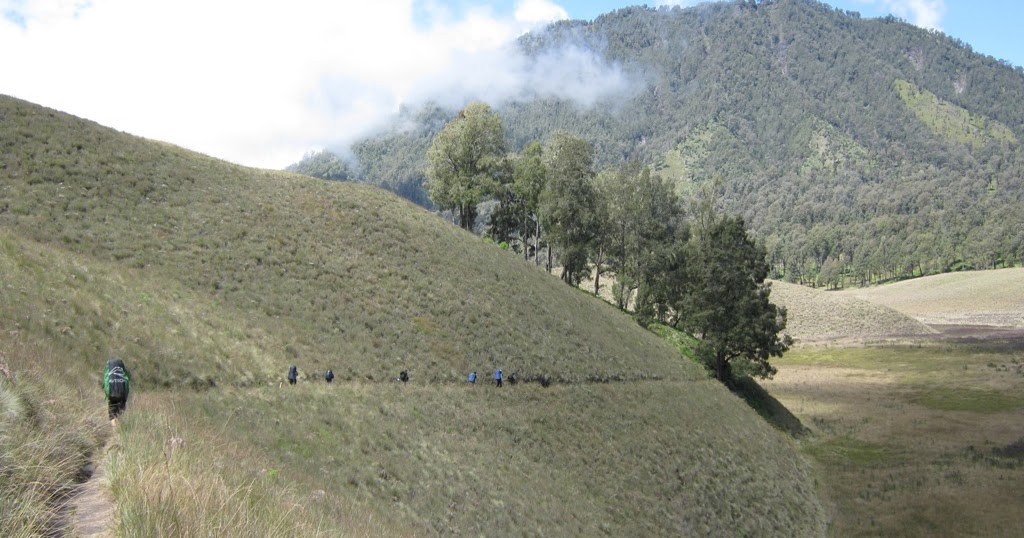 Pengetahuan Unik dan Menarik: 4 Padang Savana Terindah Di Indonesia