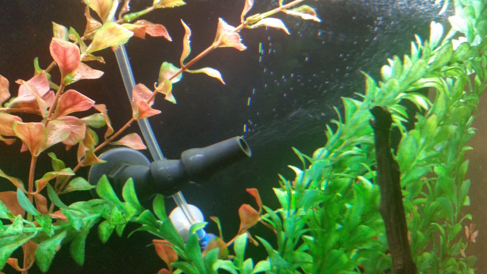 bubbles in outflow of my canister filter help aquarium advice aquarium forum community
