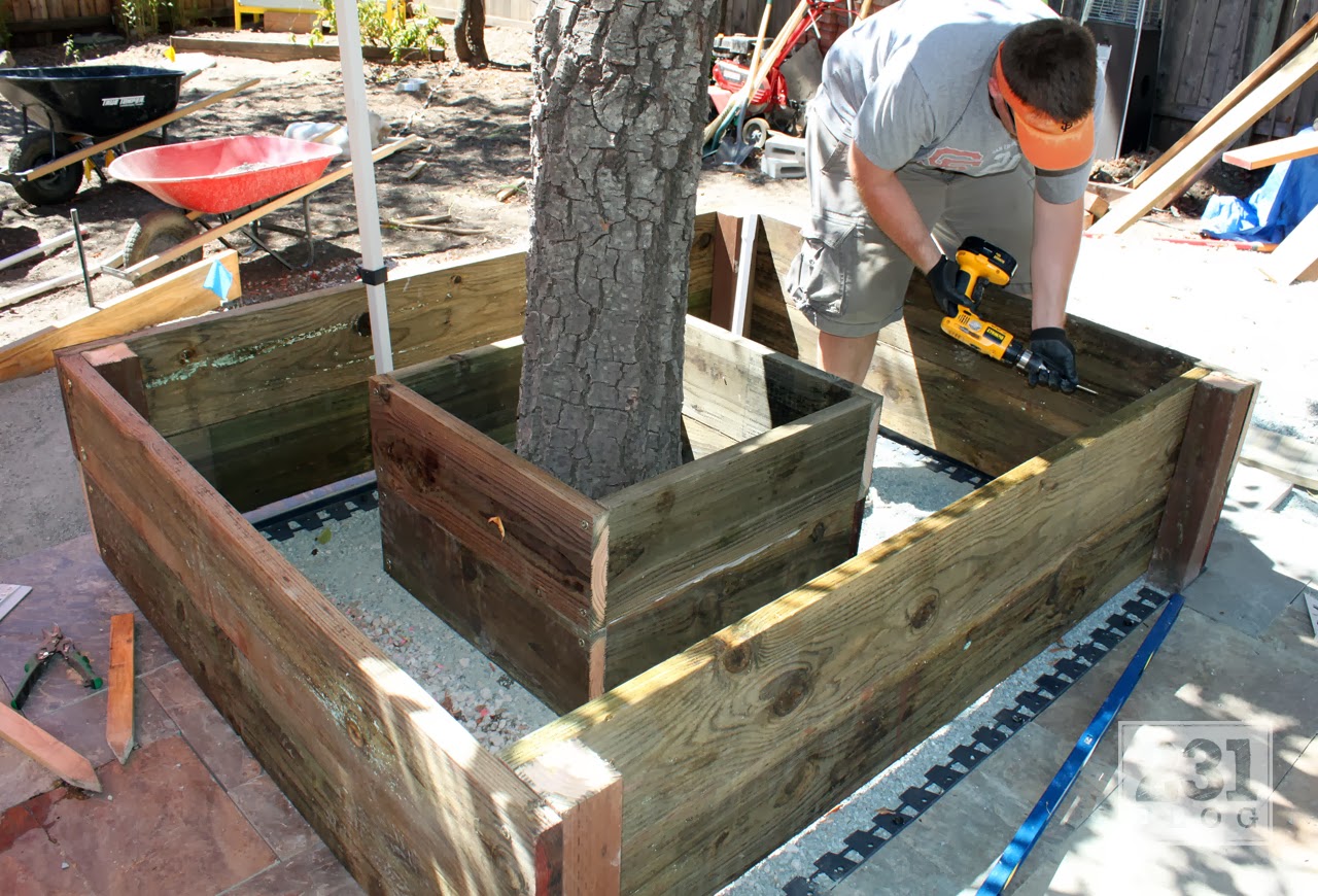 231 Designs Planter Box With Seating Around The Alder Tree Part 2 231 Designs Planter Box With Seating Around The Alder Tree Part 2 Building And Siding
