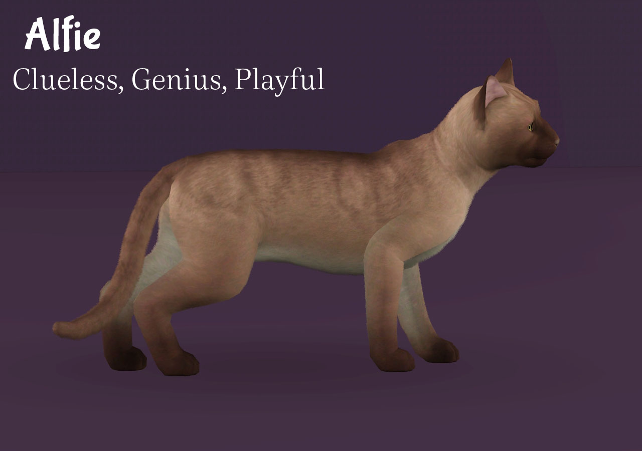 My Sims 3 Blog Bundle of Kittens! Five Lovable Cats by PharaohHound