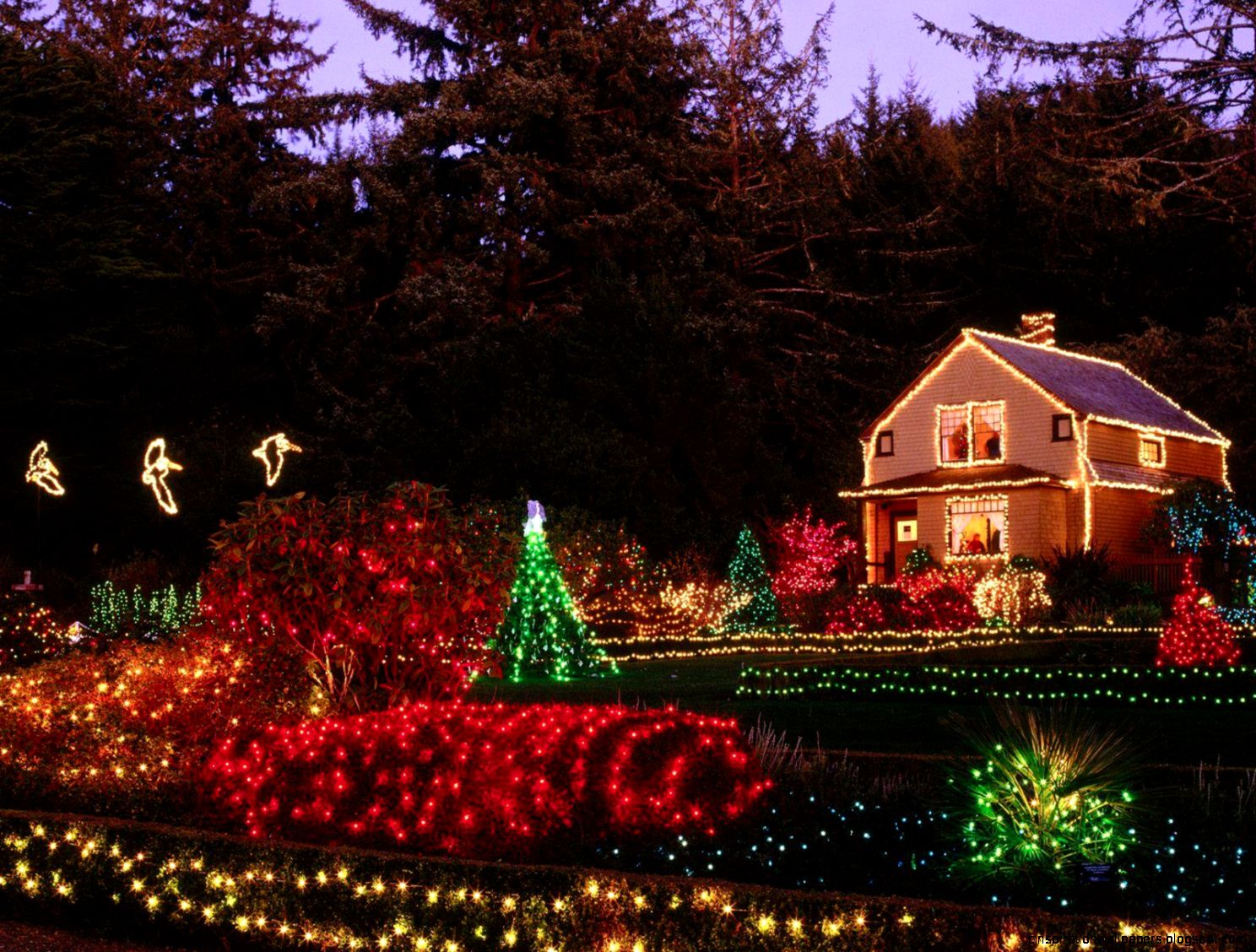 Free Christmas Nature Free Christmas Nature