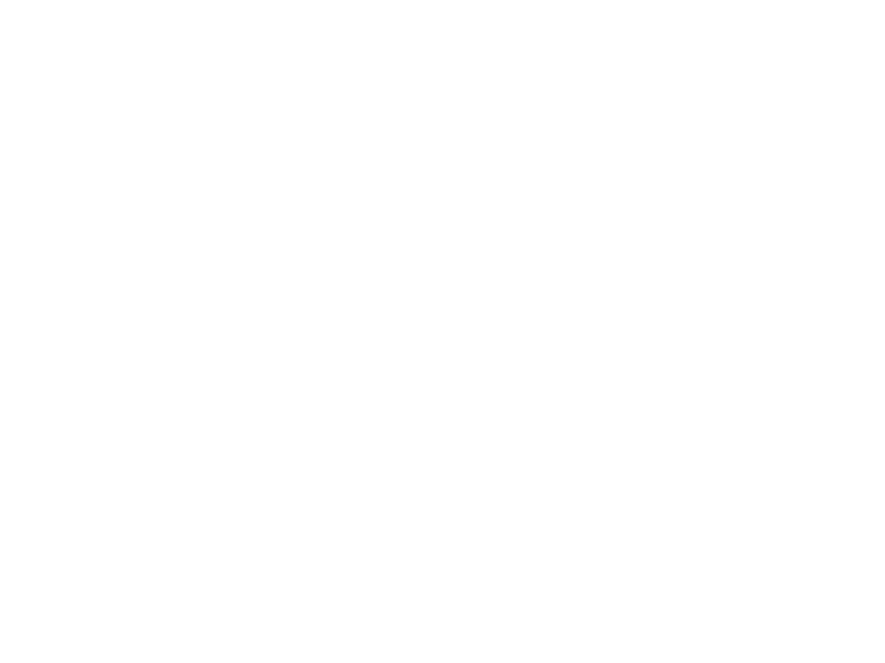 Blue Lily Photography
