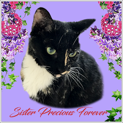 Sister Precious Furever