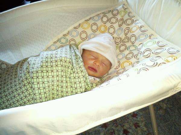 fisher price sleeper