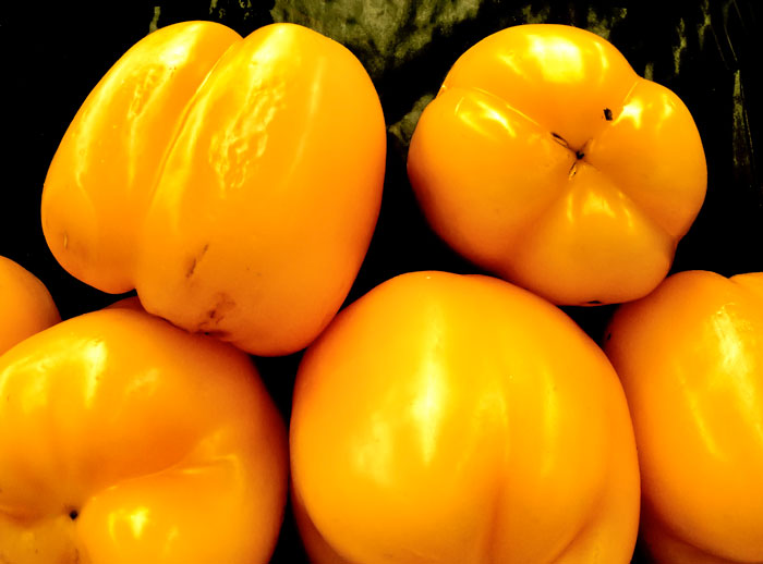 Mini Competition #1145