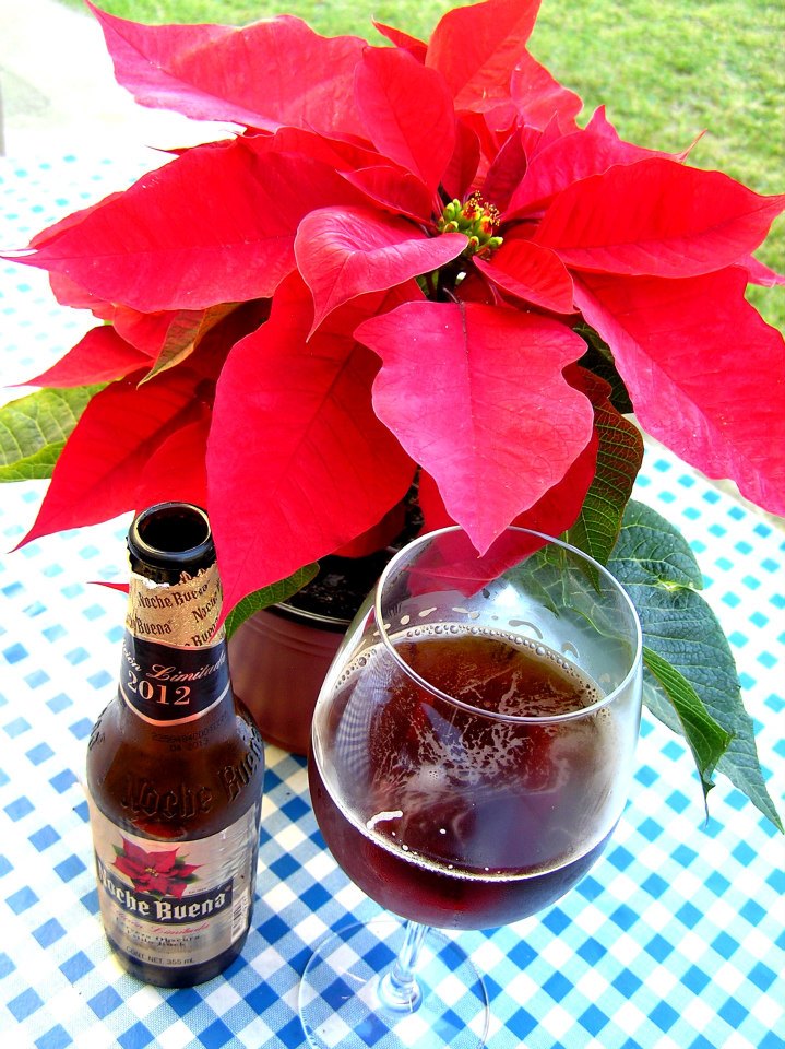 Top de cervezas navideñas Cerveza mexicana estilo Bock “Nochebuena” – Bierlinerin