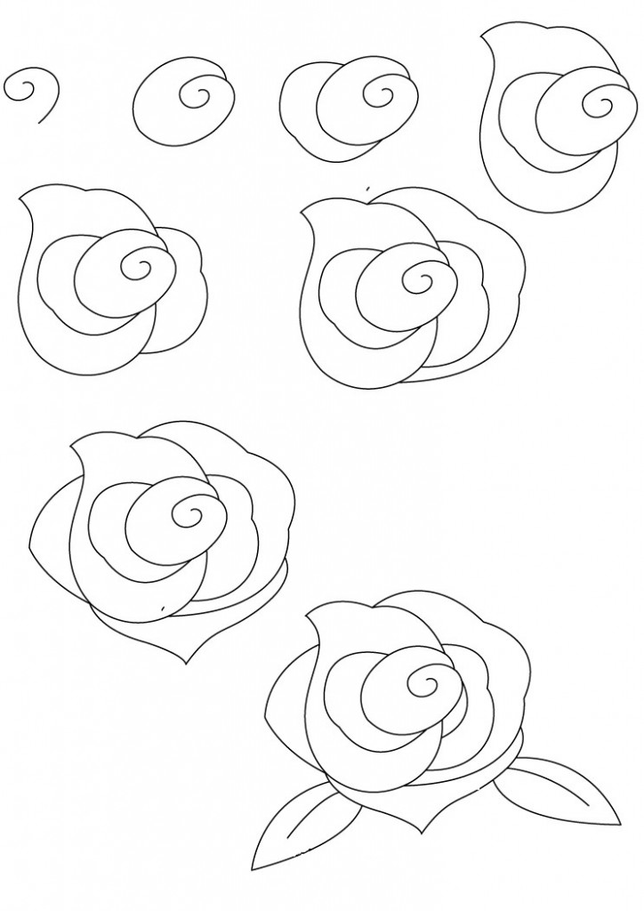Best Time For Fun How To Draw A Rose