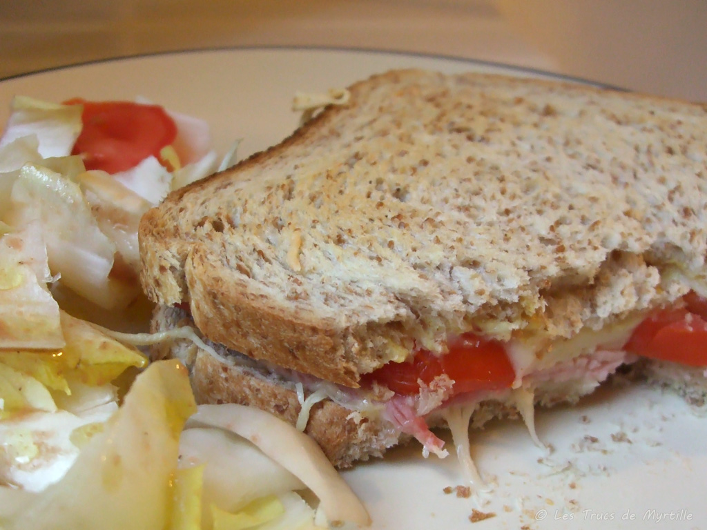 La Cuisine De Myrtille Croque Monsieur A La Tomate