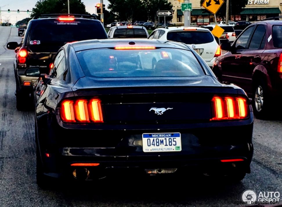 Black Ford Mustang On The Road Mega Wallpapers