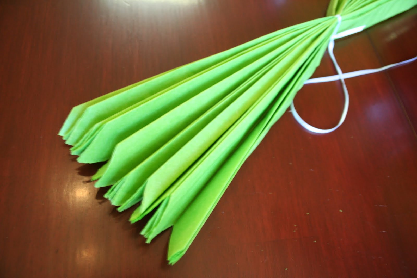 Beautiful DIY Tissue Paper Pom Pom Tutorial