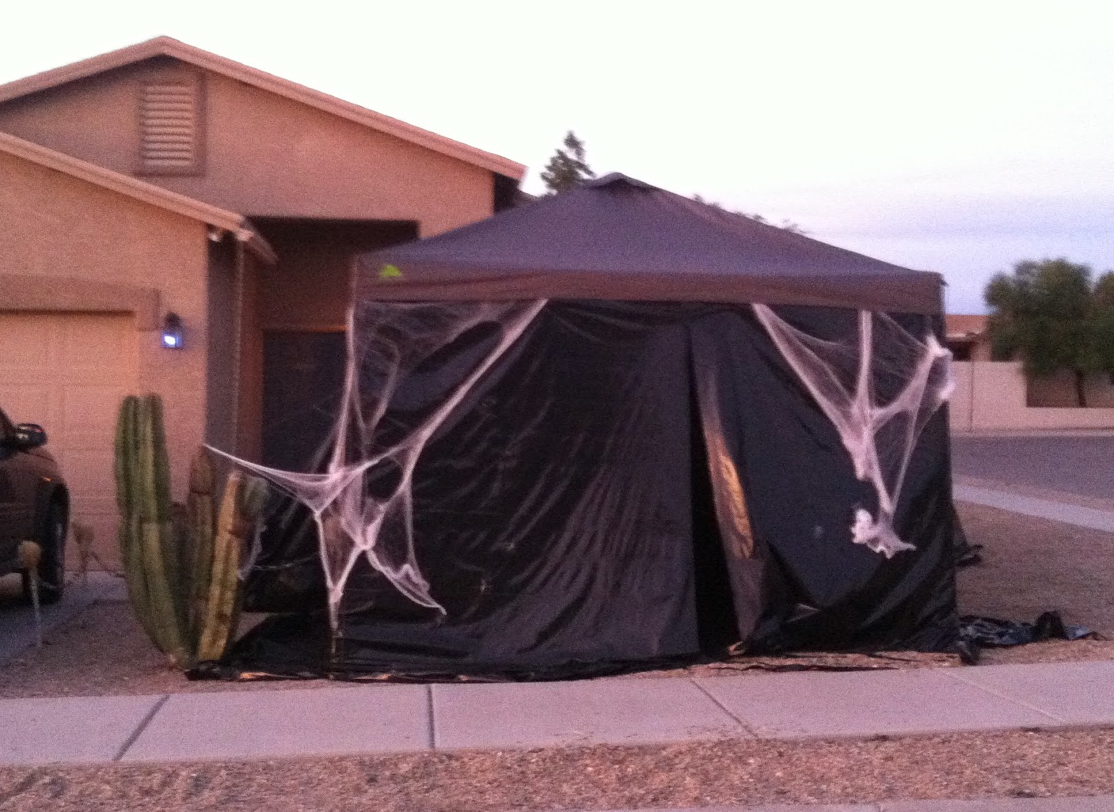 Tucson Daily Photo October 2014