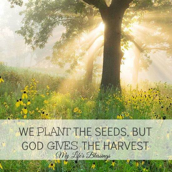 Harvest Quotes And Sayings. QuotesGram