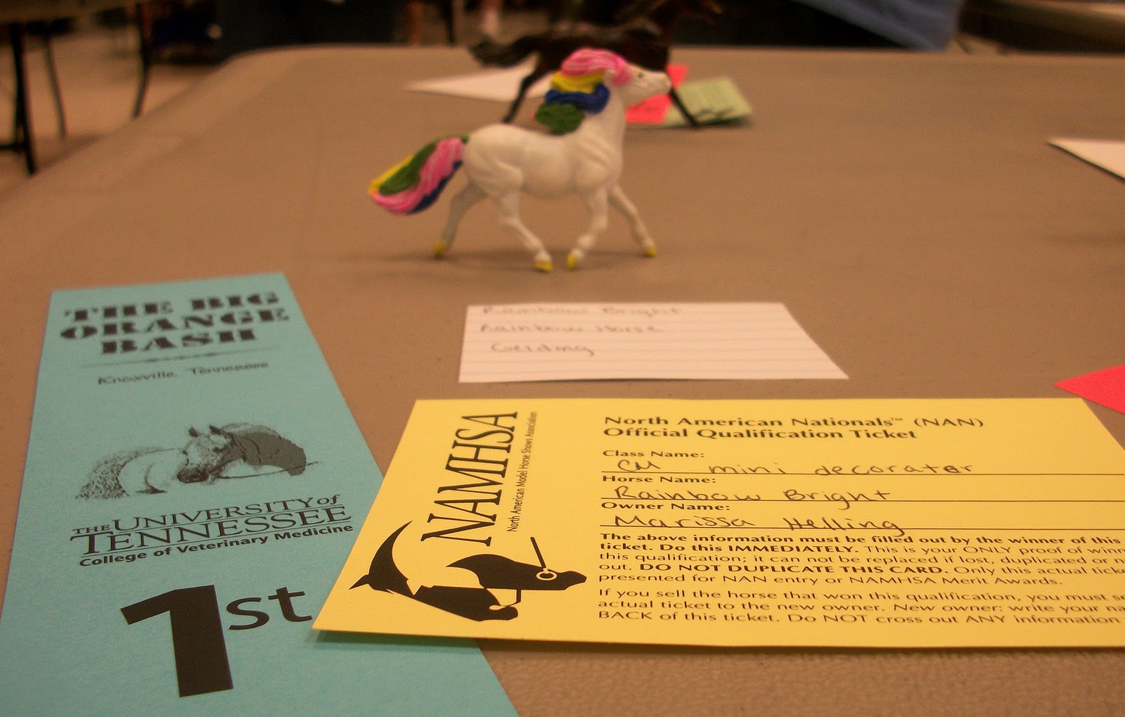 Braymere Custom Saddlery Bargain Barn Marissa S Models