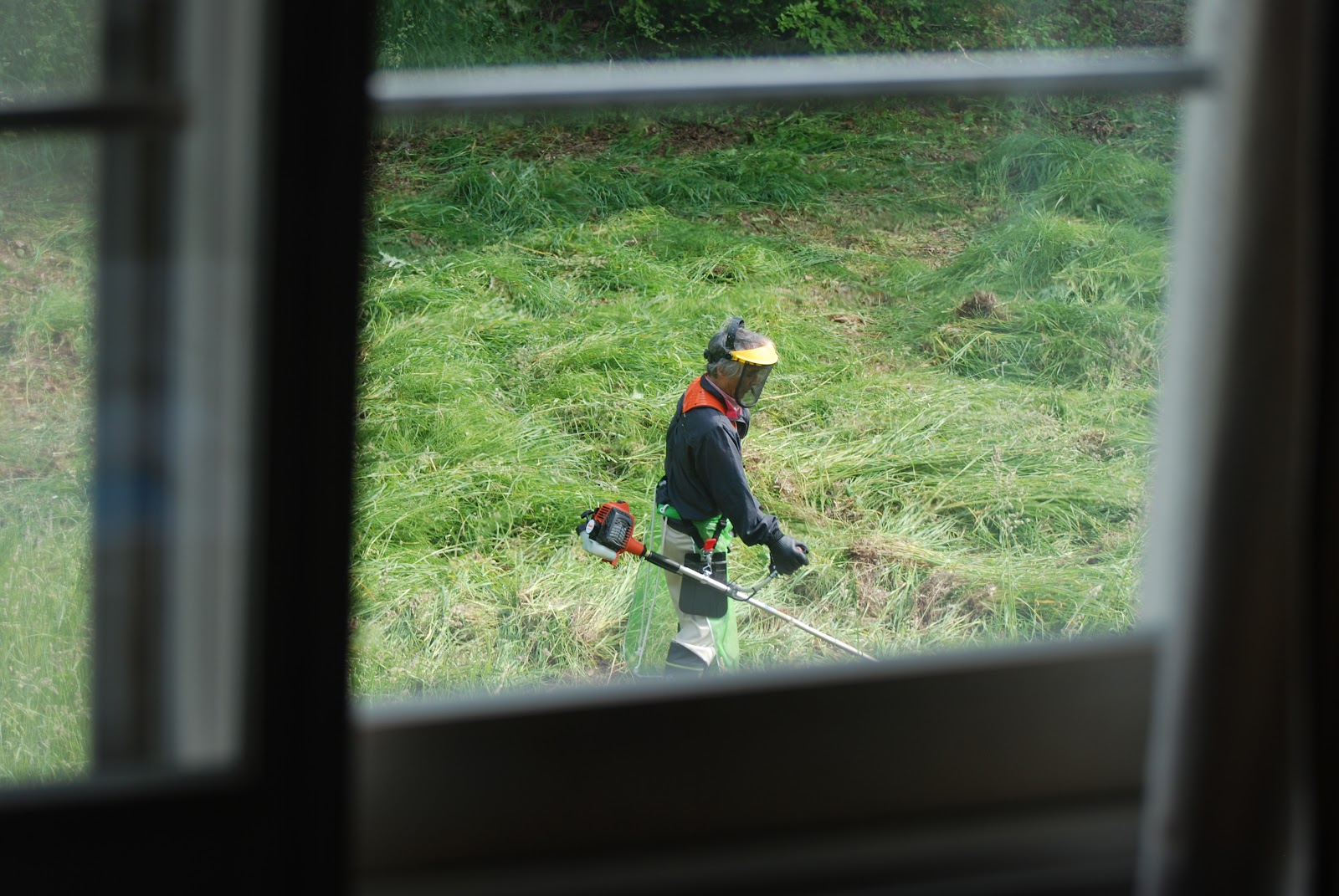 Kyle and Bre in Japan: Japanese lawn mowing