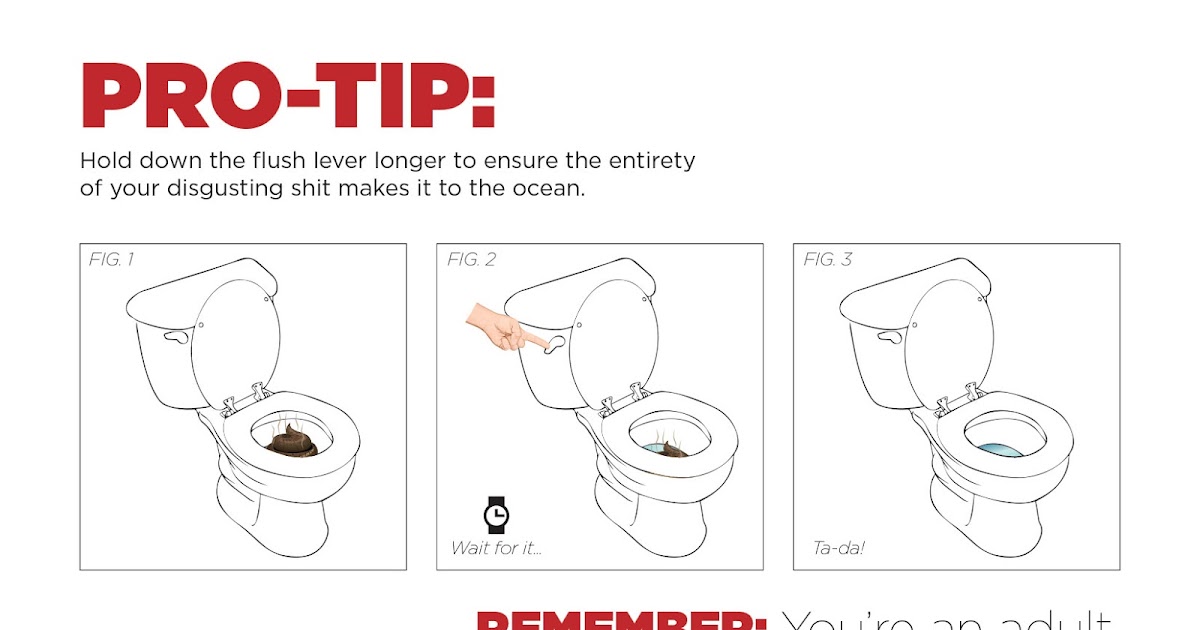 How To Manually Flush A Toilet