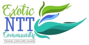 Exotic NTT Community