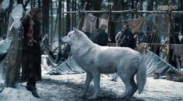 ghost-dire-wolf-game-of-thrones2.png