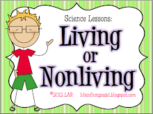 Life in First Grade: The Little Red Hen Activities and Craft