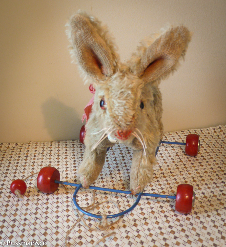 PUSSMANSTUFFIES ETC... Alfred (adopted) the bunny on wheels