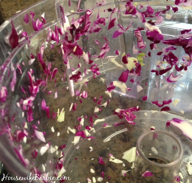 An American Housewife Shredding and Vacuum Sealing Fresh Cabbage with