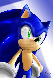 Sonic the hedgehog