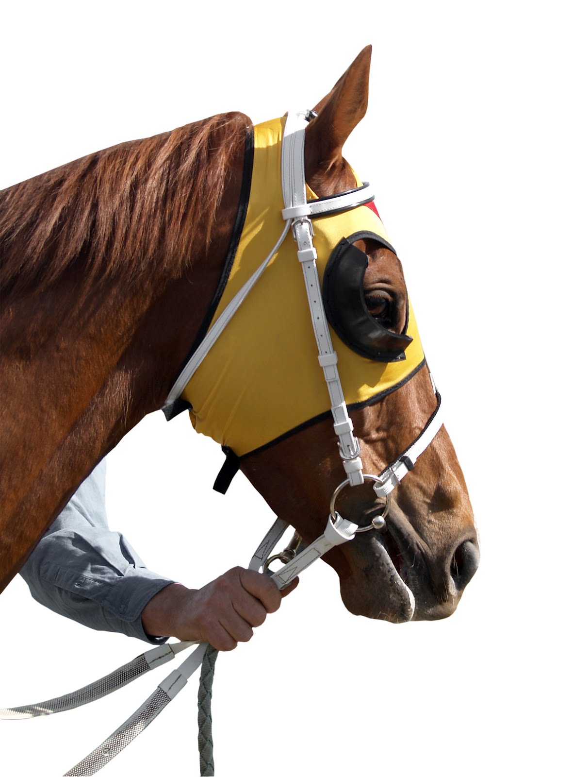 Blinder Mentality Fire Engineering