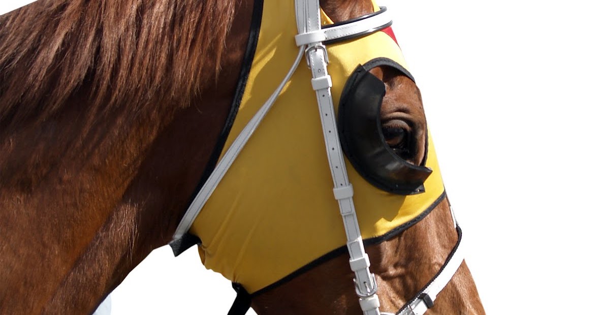 Tap the Box Blinder Mentality