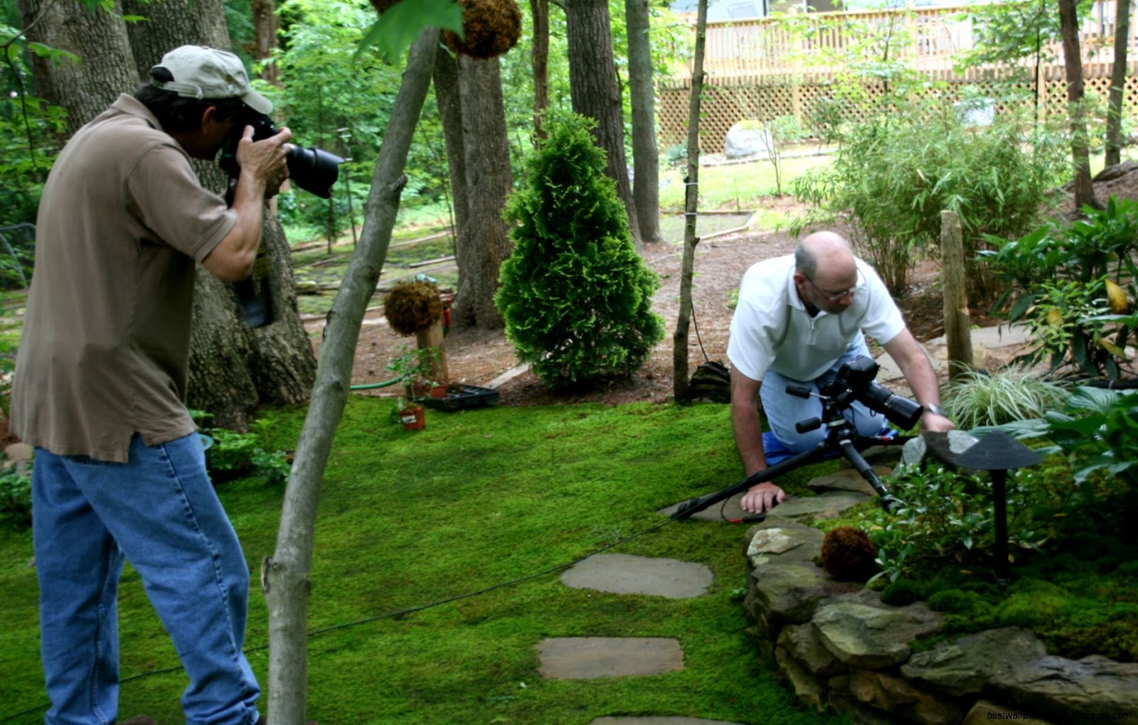 Stone and Moss Gardens Stone and Moss Gardens