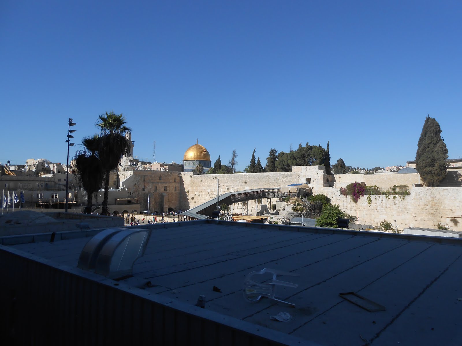 Interning In Israel: Going Back to the Homelanf