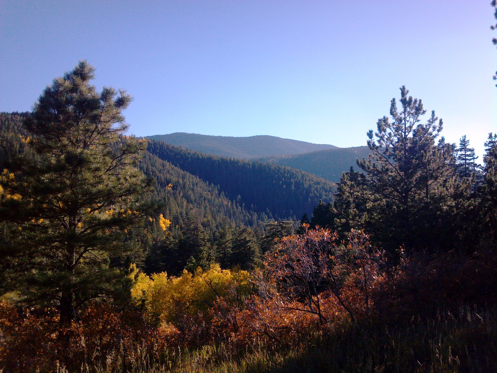 San Isabel Fall 2012 Photo Tour (Aspen, Colorado City homes, live