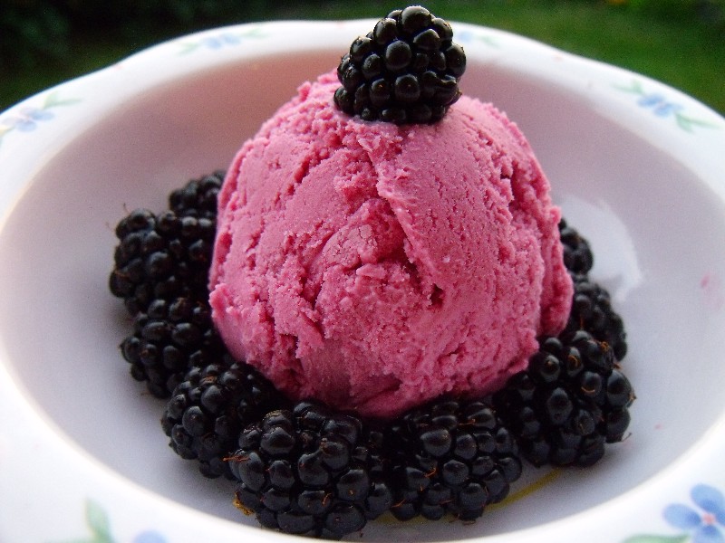 Clever, Crafty, Cookin' Mama Blackberry Ice Cream