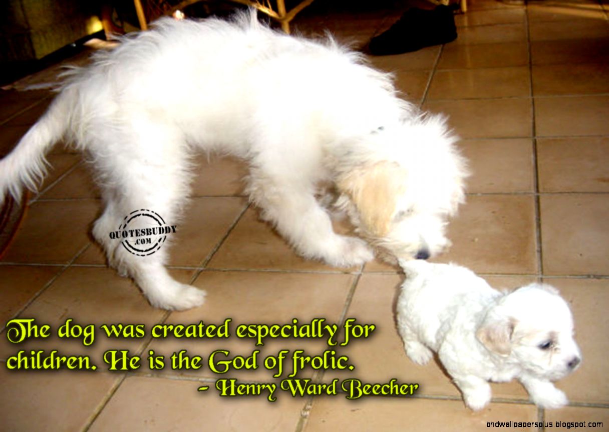 Funny animal friends quotes Colours Fun Funny animal friends quotes Colours Fun