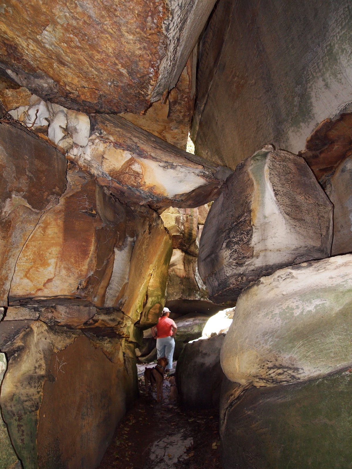 A View From Here Channels State Forest in SWVA