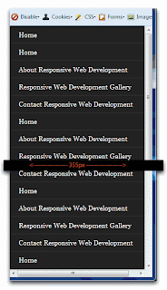 Web-design-and-development-Web-Developer-Toolbar_Vertical scroll bar & total resize width of 355px