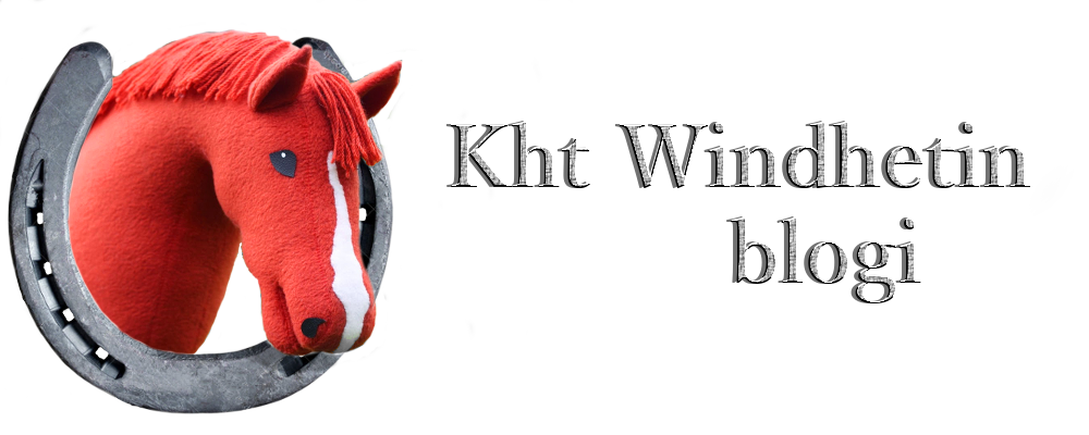 Kht Windhetin blogi