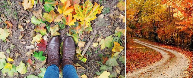 My Favourite Things About Autumn: Woodland Walks | Katie Kirk Loves