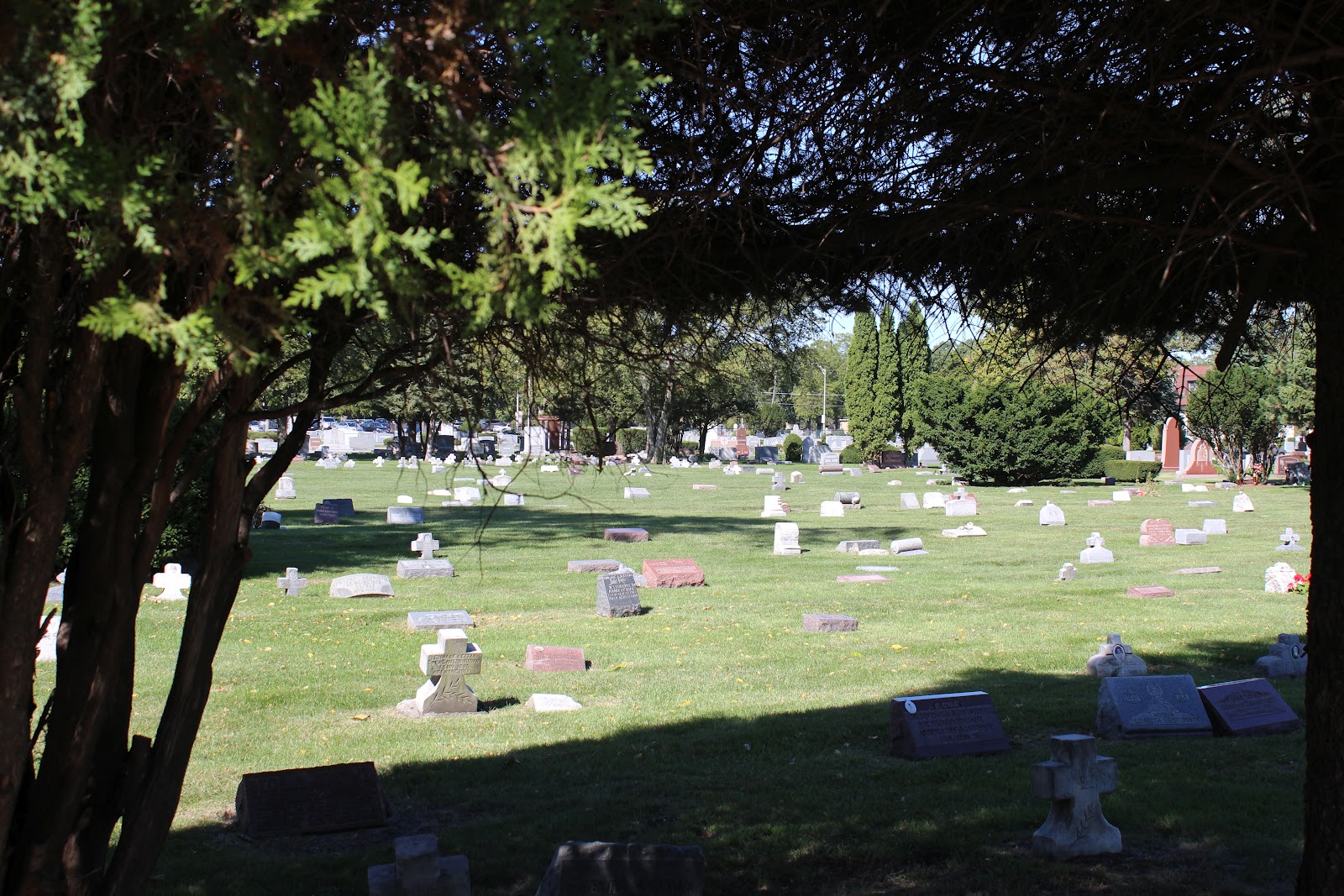 Elmwood Cemetery, River Grove, Illinois Old Greek Section Photographs