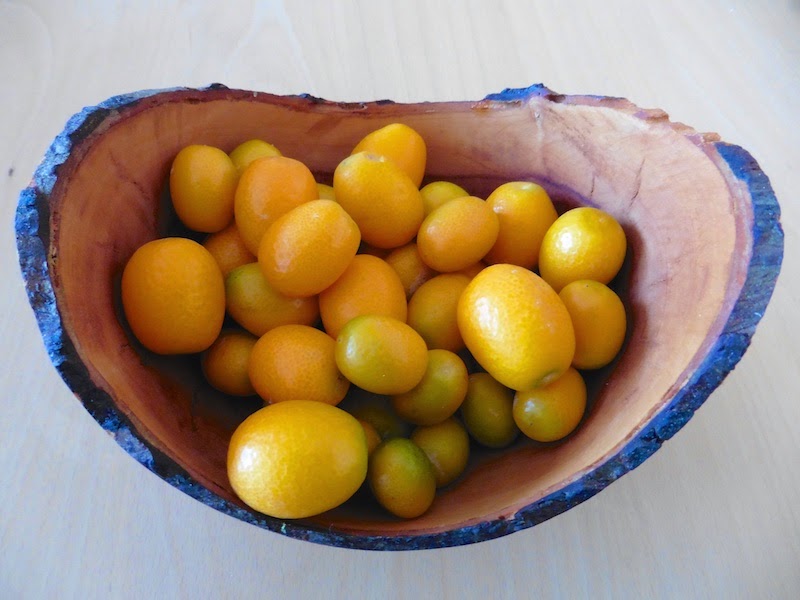 Filzgarten Februar 2016