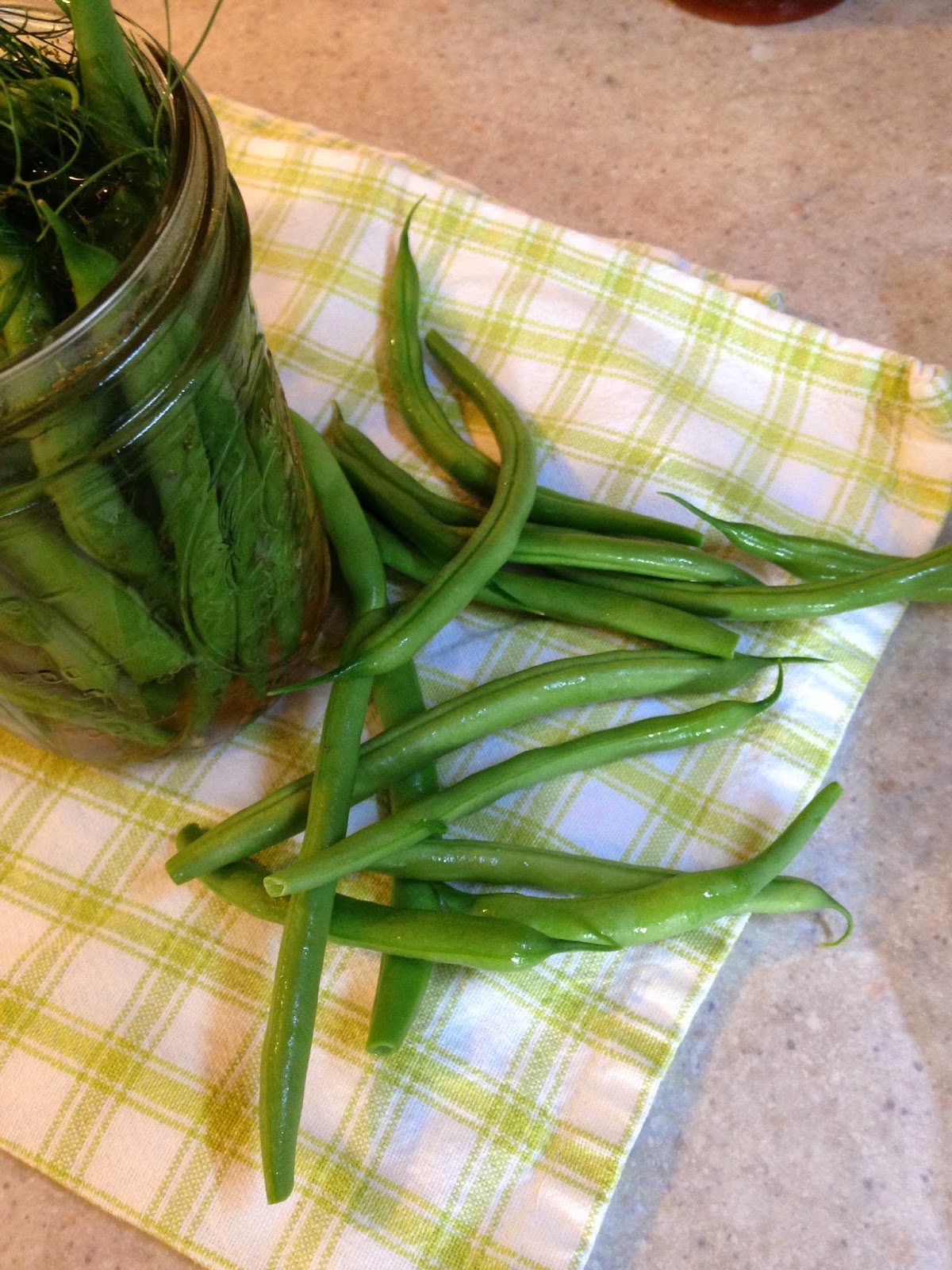 Simple Things, Sweet Life Refrigerator Dilly Beans