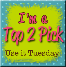 Use it Tuesday Top 2