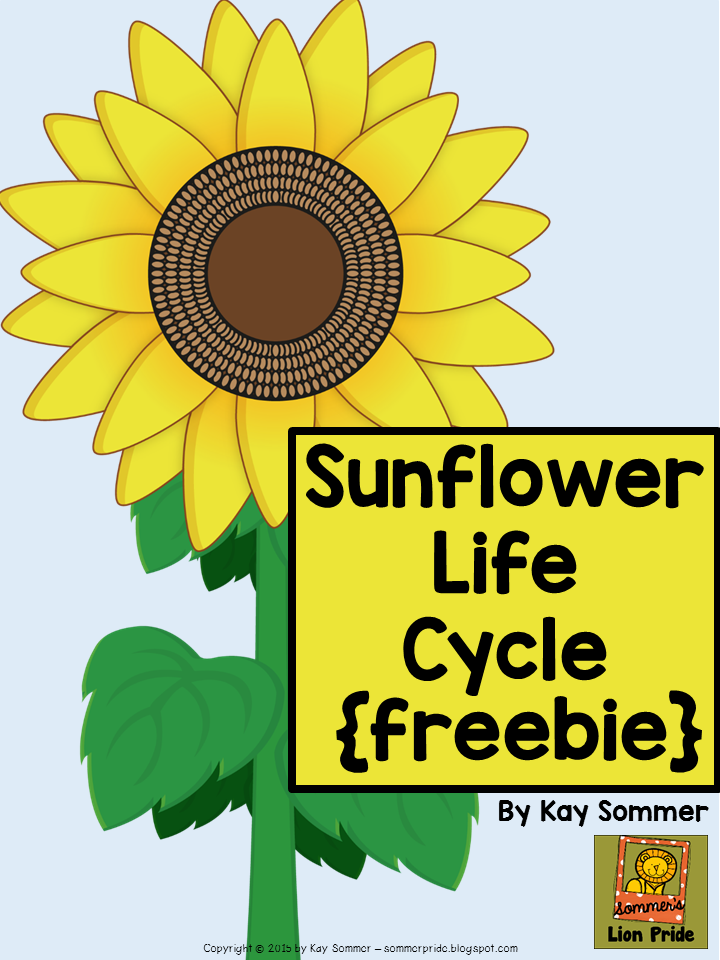 Sommer's Lion Pride: More Sunflowers! {and a FREEBIE!} blank parts of the flower diagram 