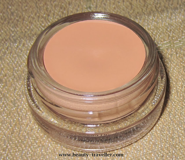 Review MAC Pro Longwear Paint Pot in Layin' Low Beauty Traveller